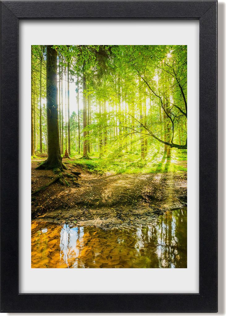 Bild 20x30 MDF-Rahmen, Wandkunst Sonne im Wald