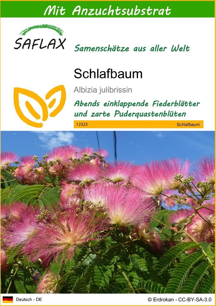 SAFLAX - Schlafbaum - Albizia julibrissin - 50 Samen - Mit Produktbild 