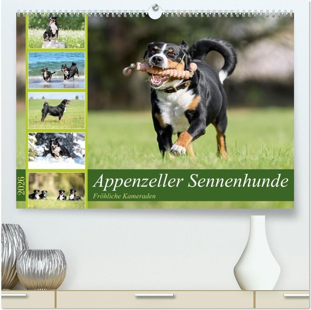 Appenzeller Sennenhunde - Fröhliche Kameraden (hochwertiger Premium Wandkalender 2026 DIN A2 quer), Kunstdruck in Hochglanz