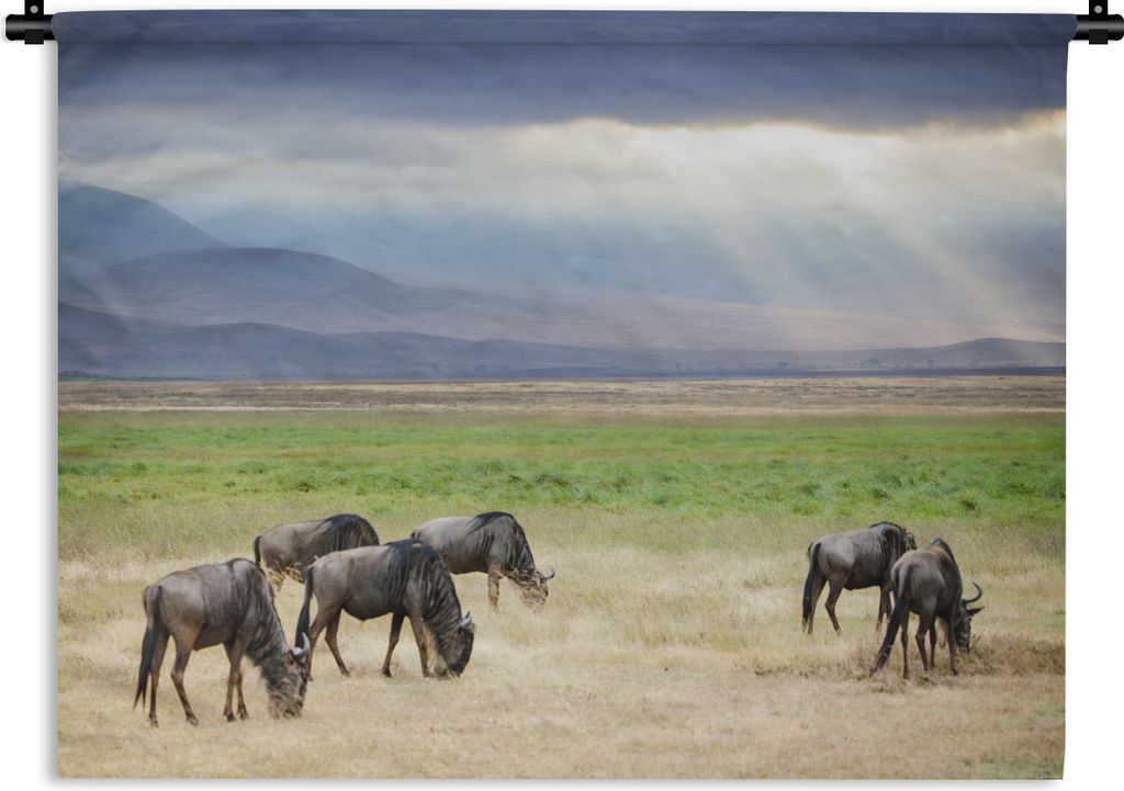 MuchoWow Wandteppich Wandbehang Wilde Tiere und wunderschöne Sonnenstrahlen, die durch die Wolken im Ngorongoro-Krater scheinen 150x112 cm Tapis...