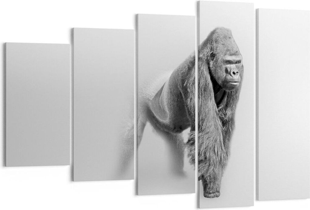 Bild auf Leinwand - Leinwandbild - Orang-Utan Tier - 150x100cm - Wand Bild - Wanddeko - Wandbilder - Leinwanddruck - Bilder - Kunstdruck - Wanddeko...