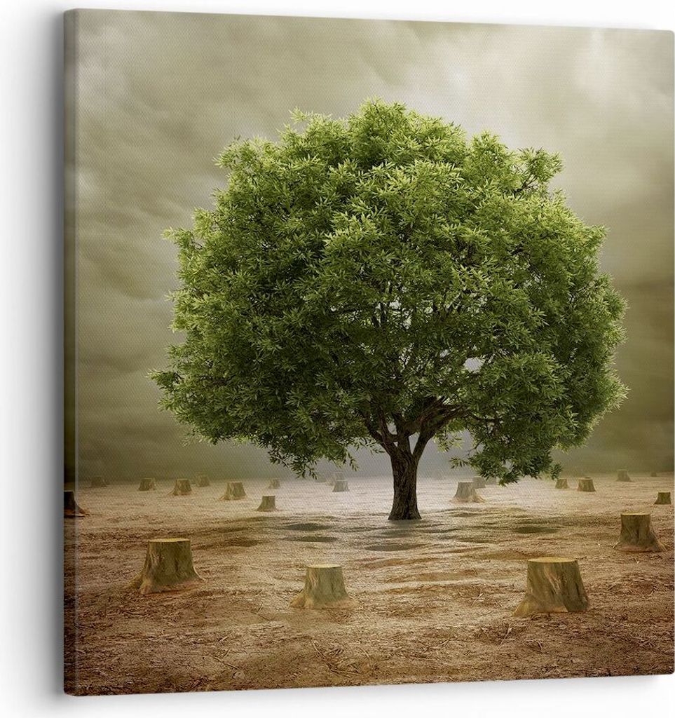 Bild auf Leinwand - Leinwandbild - Baum Feld Umwelt - 30x30cm - Wand Bild - Wanddeko - Wandbilder - Leinwanddruck - Bilder - Kunstdruck - Wanddekor...