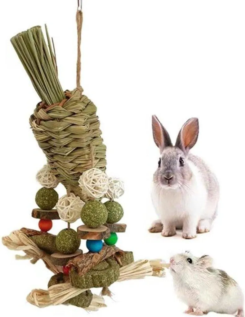 Jouet hamster boule d'herbe séchée et friandises gourmandes sans sucre