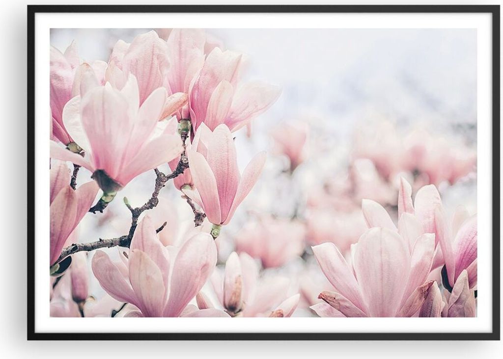 Gerahmtes Poster - Schwarzer Rahmen - Magnolie Blumen Rosa - 100x70 cm - Wand Bild - Wanddeko - Wandbilder - Kunstposter - Wandposter - Bilderrahme...