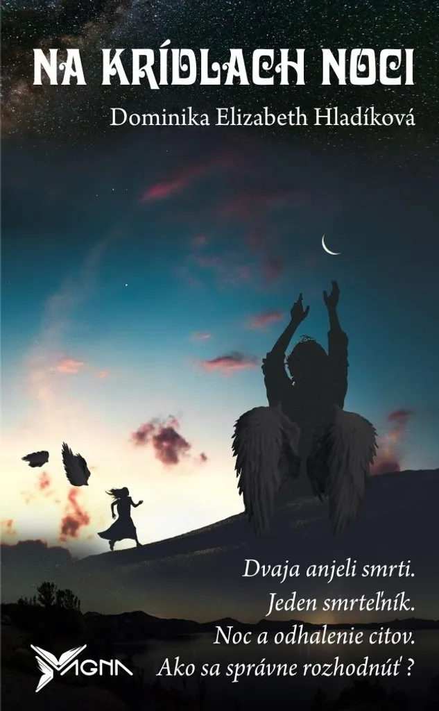 Livre Na krídlach noci pour Passionnés de Littérature Internationale