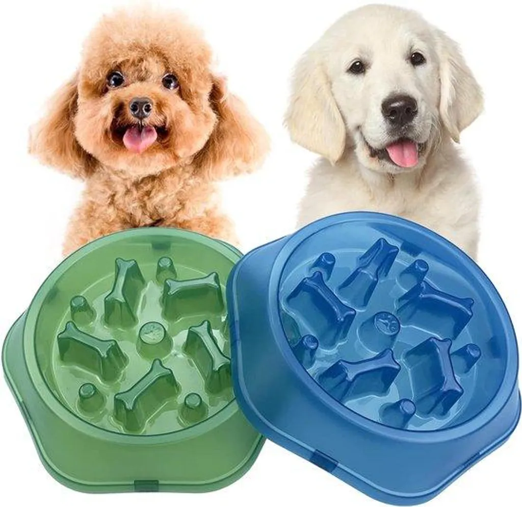 Gamelle lente ergonomique bleu vert pour petit chien anti-gloutonnerie