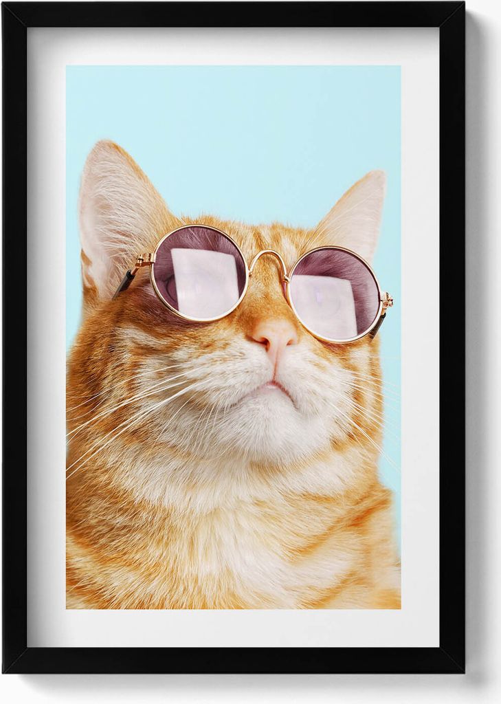 Lustige Katze mit Brille– Wandbild mit Rahmen – Gerahmtes Bild – Wanddekoration – 40x60 cm – Schwarz