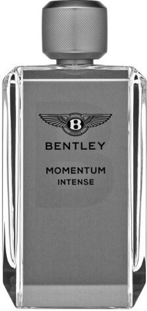 Bentley Momentum Intense Eau de Parfum für Herren 100 ml