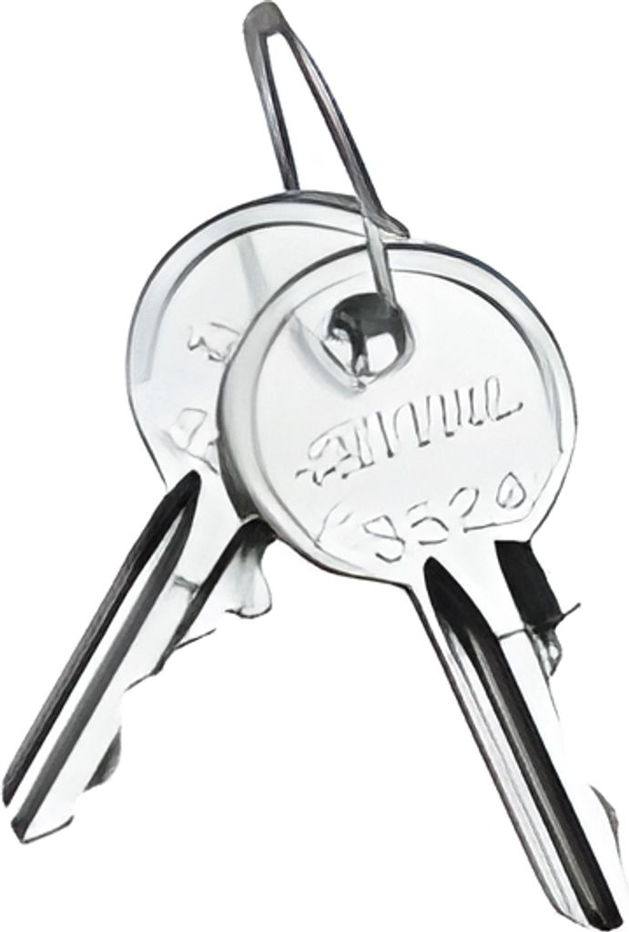 Rittal Schaltschrank-Schlüssel 3524E 2 Stück Zdjęcie produktu 