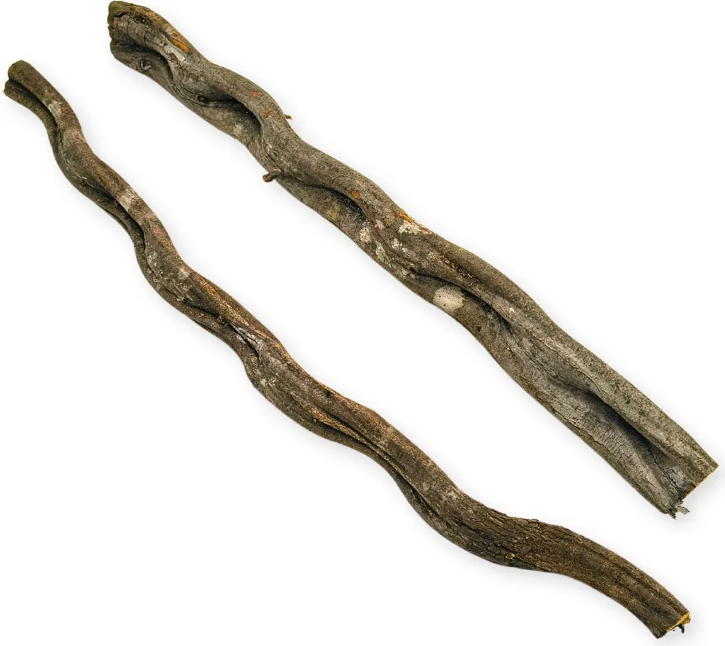 OFFERTA Liana Brasiliana Terrario 50cm - Marrone Scuro Robusta - 5