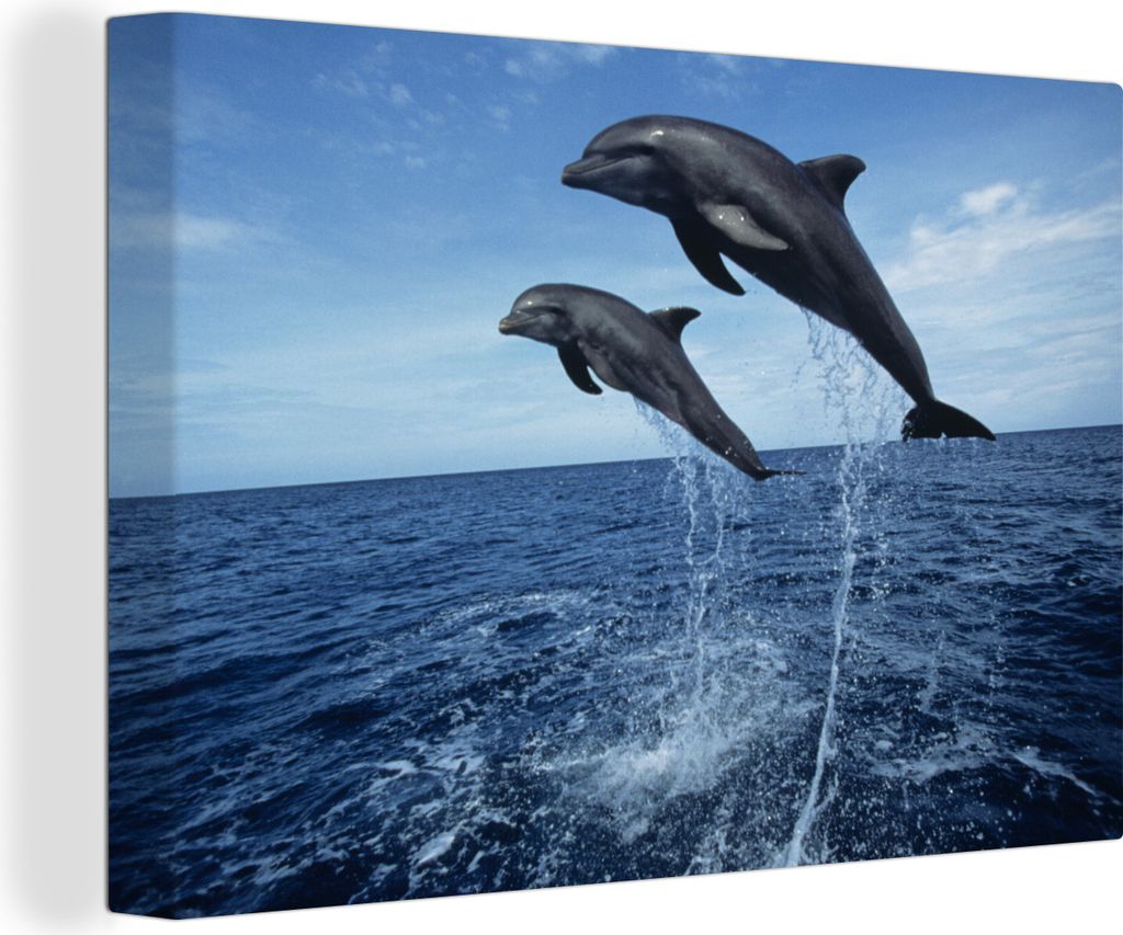 MuchoWow - Leinwandbilder - Delfin - Meer - Tier, Wandbild, Wanddeko Bilder Wohnzimmer, 30x20 cm