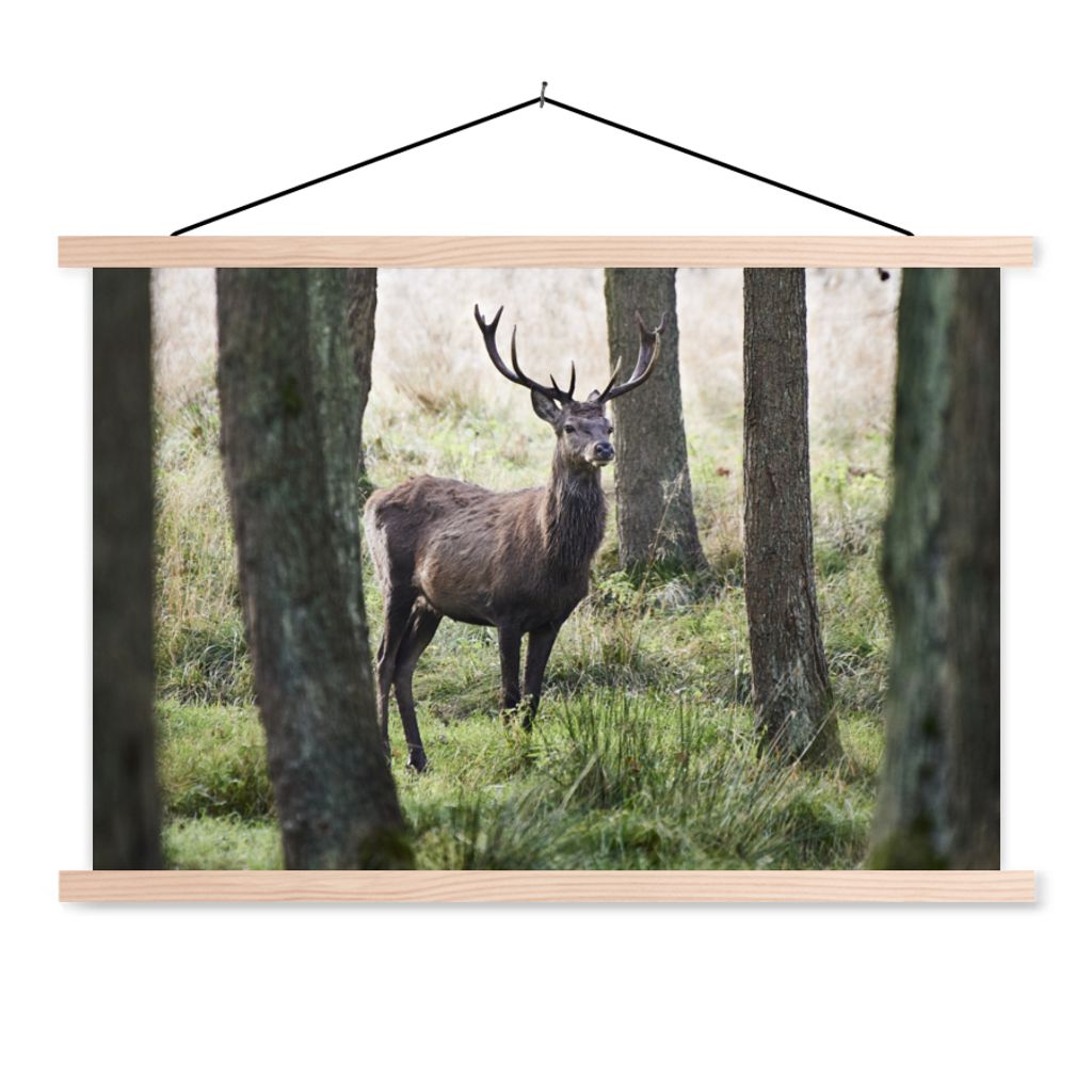 MuchoWow Textilposter Hirsche - Bäume - Gras 60x40 cm mit holzfarbenen Rahmen - Bilder