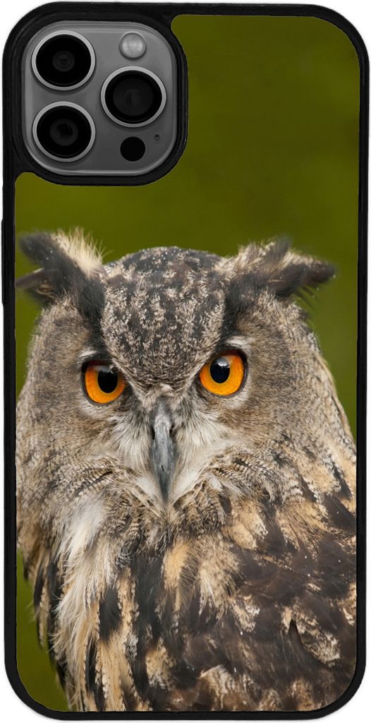 TPU Silikon Hülle für iPhone 16 Pro Max Handy Cover Case Schutzhülle Handyhülle Bumper MOTIV 141 Eule