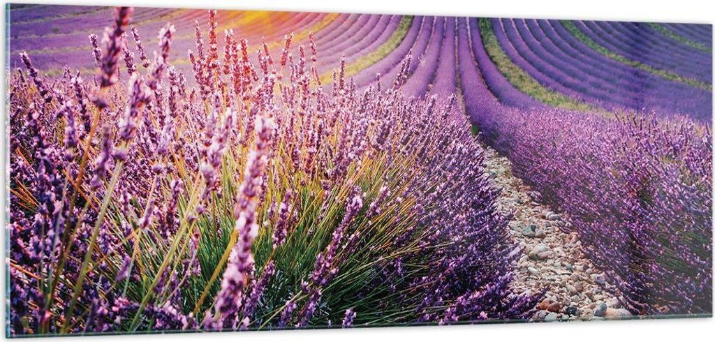 Bilder auf glas - Einteilig - Feld Lavendel Sonne - 100x40cm - Glasbilder - Wandbilder - Bilder - zum Aufhängen bereit - Wanddekoration aus Glas -...