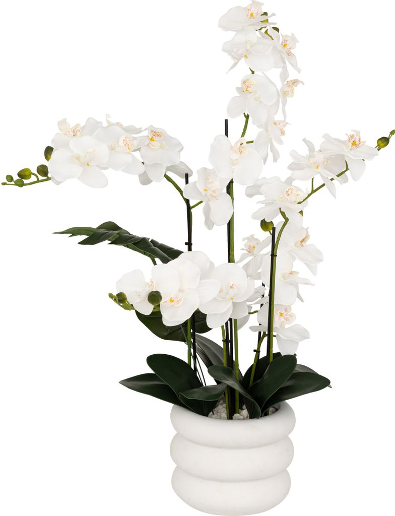 Künstliche orchidee im topf "mick" keramiktopf weiß h80cm  Produktbild 