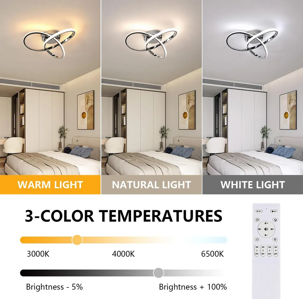 Plafonnier Argent Design Moderne Économe en Énergie Interchangeable - 5