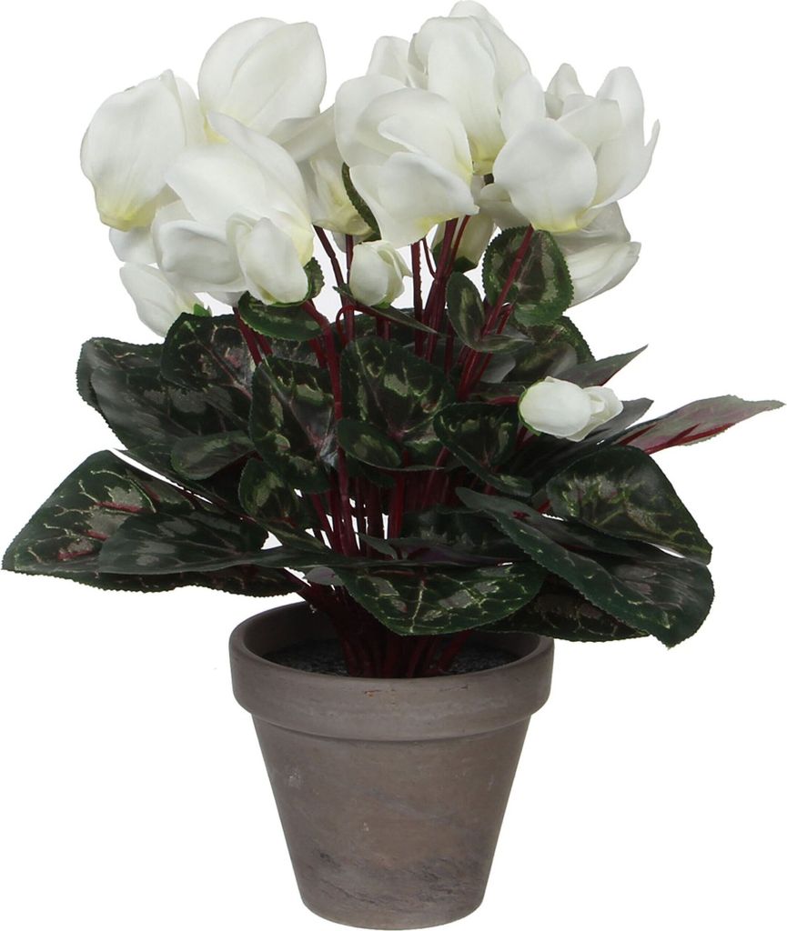 Mica Decorations Cyclamen Kunstpflanze im Blumentopf Stan - Produktbild 