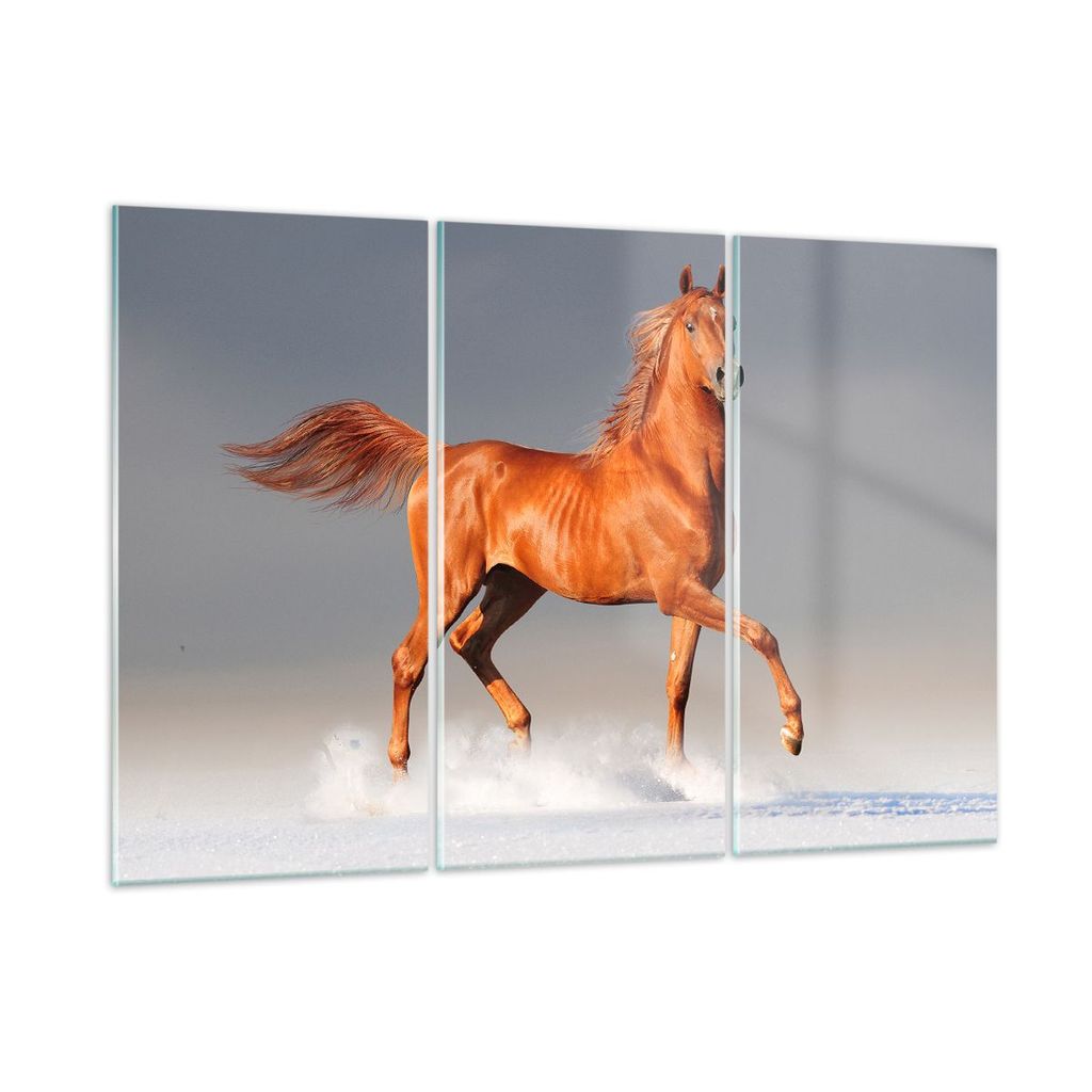 Bilder auf glas - Tiere Pferd Galopp Geschwindigkeit - 165x110cm - Glasbilder - Wandbilder - Kunstdruck - Wanddekoration aus Glas - Glas Bilder - W...