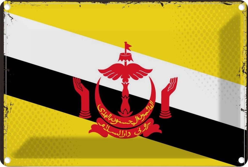 vianmo Blechschild 20x30 cm Bruneis Brunei Flagge Fahne Wappen