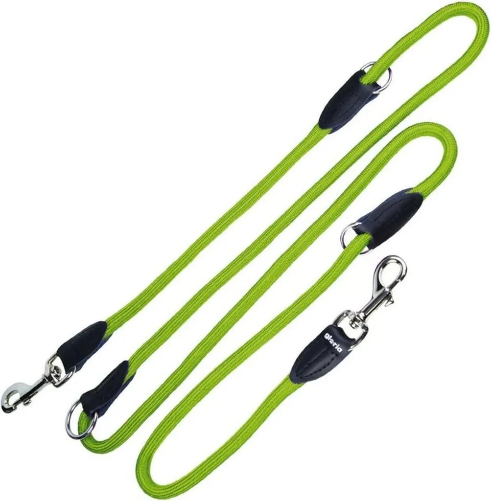 Laisse de promenade pour chien Gloria 200cm vert - Liberté et contrôle