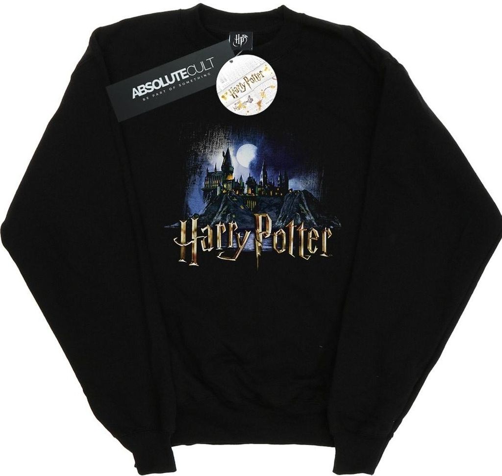 Harry Potter - Sweat-shirt "Hogwarts" pour homme BI28222 Image du produit 