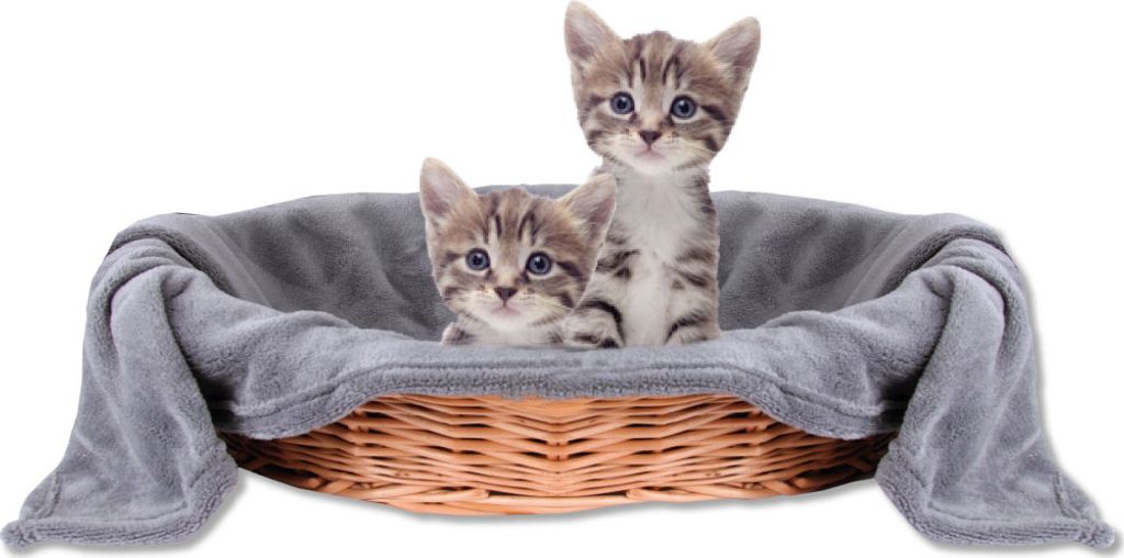 Katzendecke - Tierdecke, Maße: 90x140 cm, Farbe: Grau