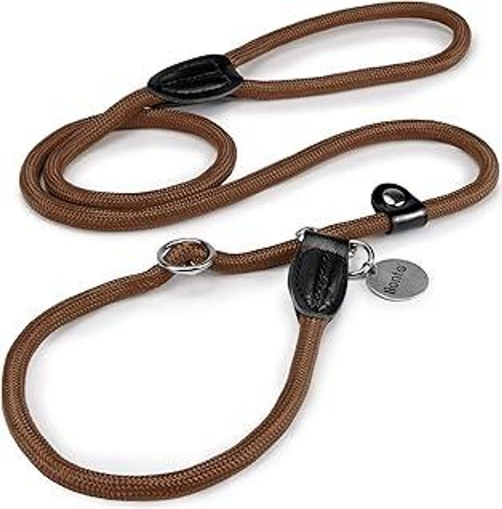 lionto Retrieverleine robust und wetterfest für Hunde Aller Größen, schnell anzulegende Hundeleine und Halsband in Einem, 120 cm, fellschonende ...