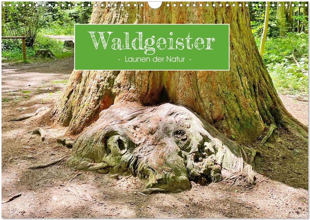 Waldgeister - Launen der Natur (Wandkalender 2026 DIN A3 quer), CALVENDO Monatskalender