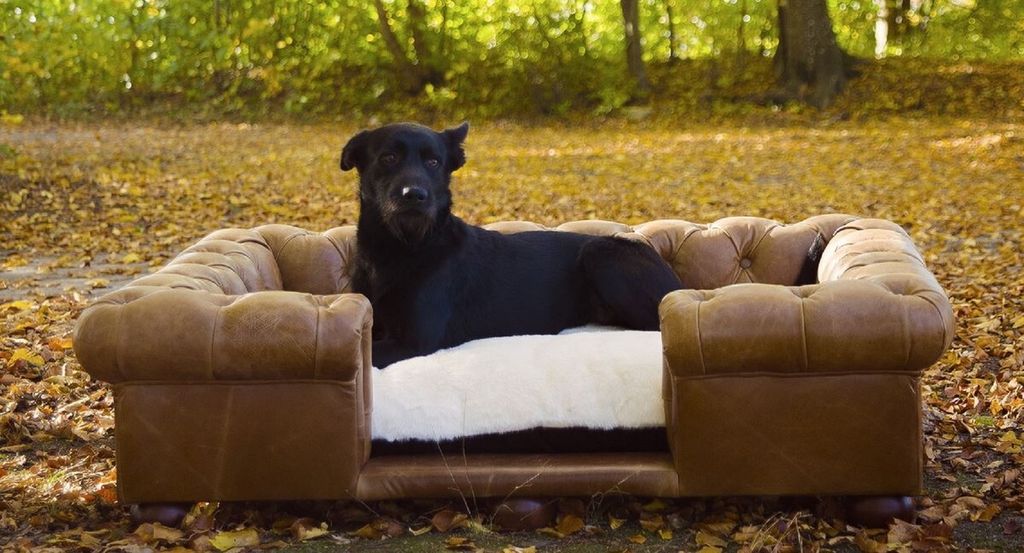 Casa Padrino Luxus Chesterfield Leder Hundebett Vintage Braun / Dunkelbraun / Weiß / Schwarz 134 x 104 x H. 37 cm - Rechteckiges Echtleder Hundebe...