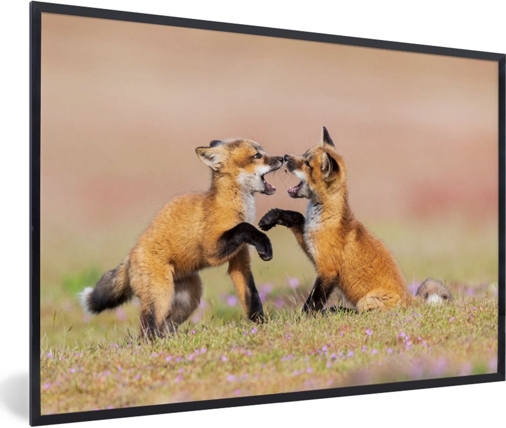 MuchoWow® MuchoWow® Gerahmtes Poster Füchse - Blumen - Produktbild 
