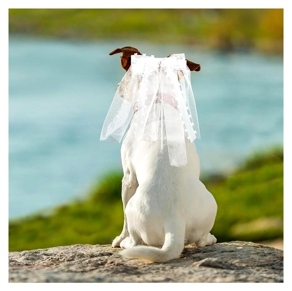 Hundeschleier mit Clip Weicher Haarschmuck mit Schleife für Hunde und Katzen Elegantes Accessoire für Hochzeiten, Haustierpartys und Geburtstagsf...