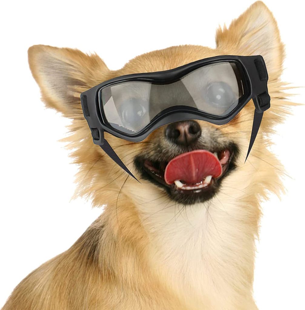 Hundebrille für kleine Hunde, UV-Schutz, Hundesonnenbrille Produktbild 
