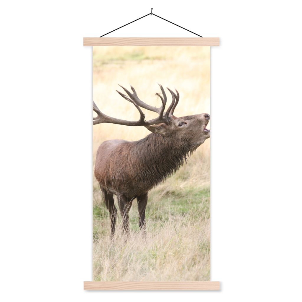 MuchoWow Textilposter Hirsche - Geweihe - Gras 60x120 cm mit holzfarbenen Rahmen - Holz