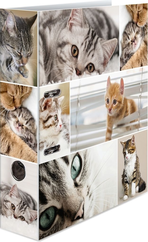 Motivordner A4 70mm Katzen Packung mit 10 Stück