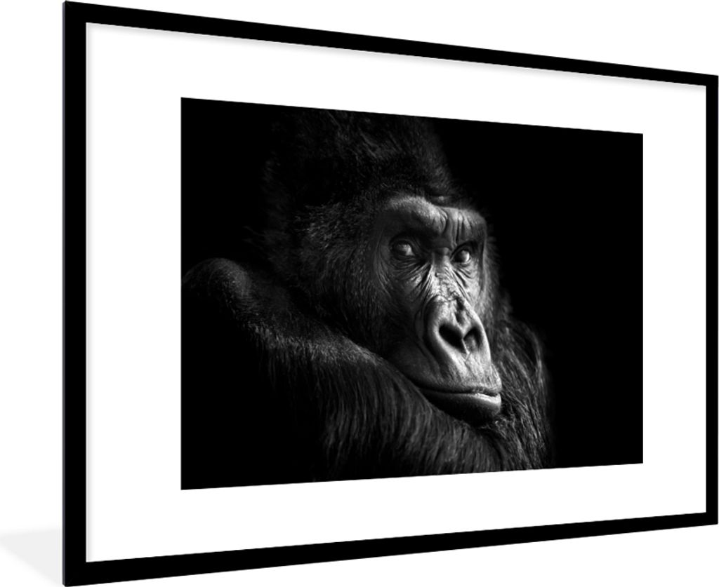 MuchoWow Gerahmtes Poster Gorilla - Affe - Schwarz - Weiß - Porträt 90x60 cm - Poster mit Schwarzem Bilderrahmen Wandposter Rahmen Foto Bilder ...