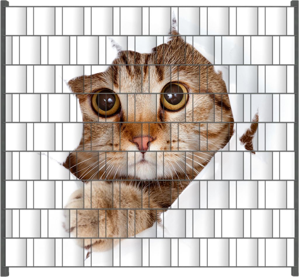 Wallario Zaunsichtschutz mit Motiv Katze mit Blick nach vorn für Ein- und Doppelstabmatten Zäune in der Größe 200 x 180 cm