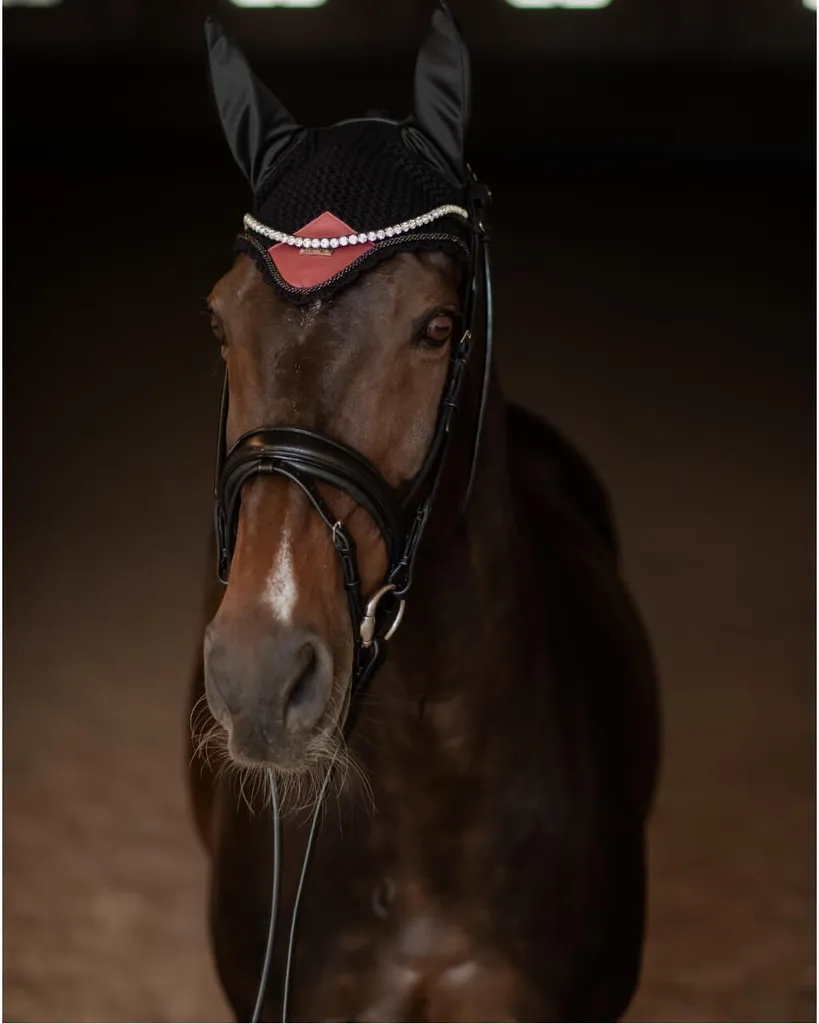 Protéger son cheval des insectes avec le couvre-tête intégral Rouge - 5