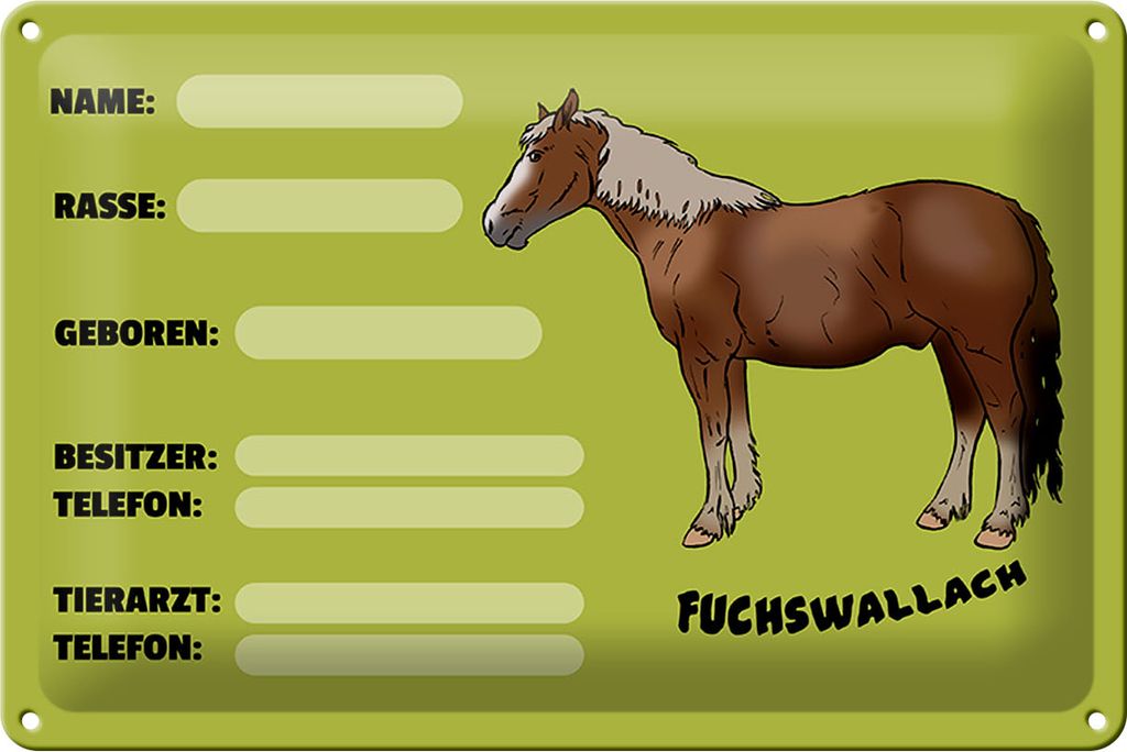 Blechschild Pferd 30x20cm Fuchswallach Name Besitzer Rasse