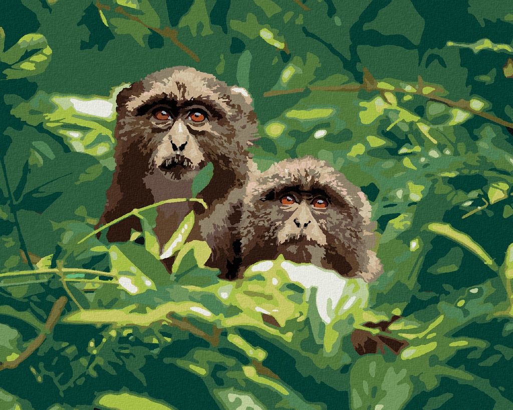 Zuty - Malen nach Zahlen - ZWEI AFFEN IM WALD IN SÜDAFRIKA, 40x50 cm, ohne Keilrahmen