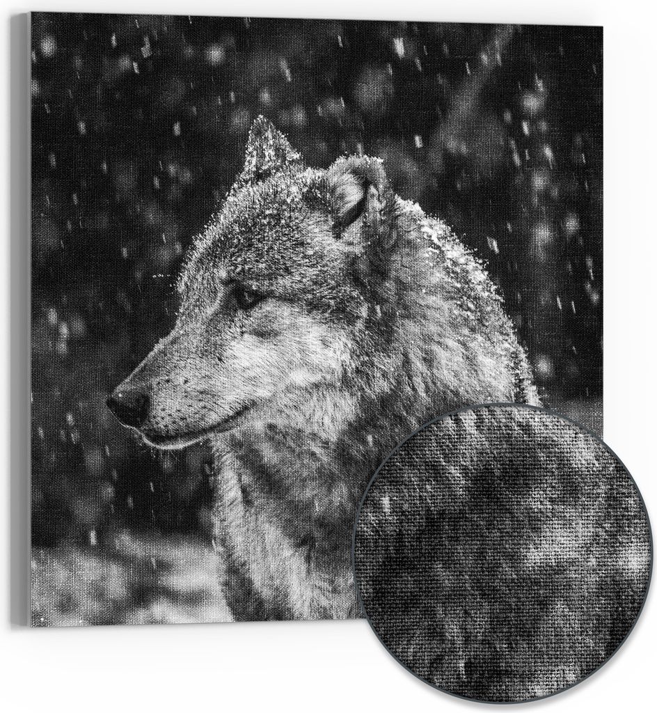DEQORI Hybrid Leinwand Bild 50x50 cm 'Winterwächter' Wandbild Glas flach modern
