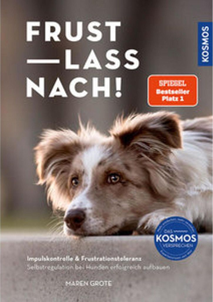 A dog lying down on a ledge, with text overlay.