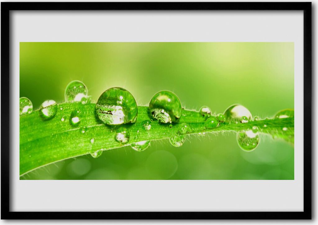 Bild 100x70 MDF-Rahmen Wandkunst Pflanzenblatt Dew Drops