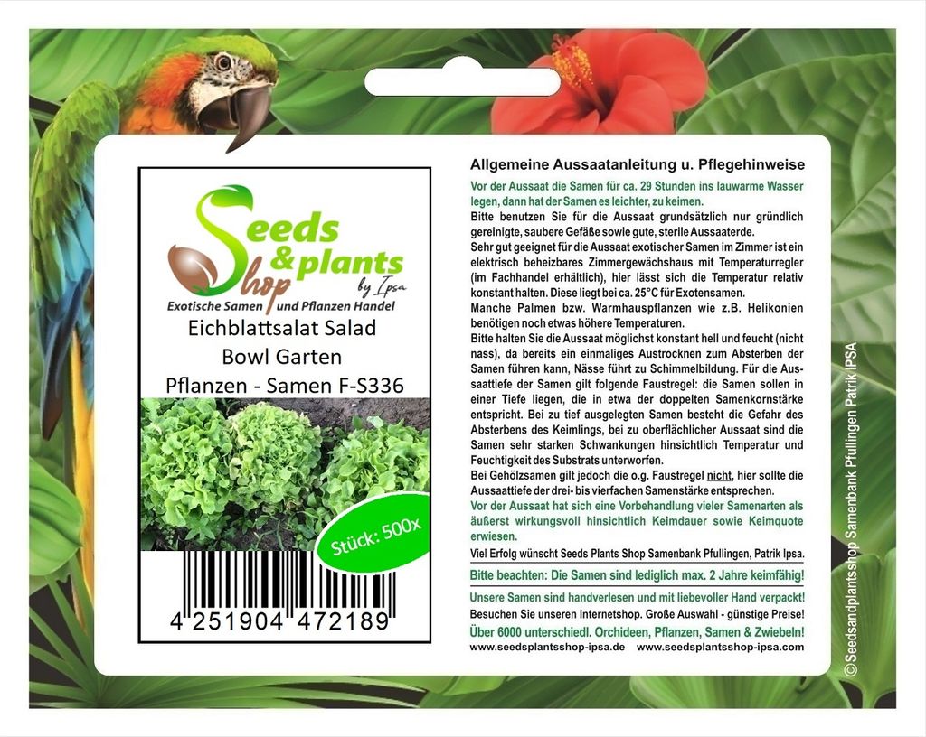 500 Korn Eichblattsalat Salad Bowl Garten Pflanzen - Samen F-S336