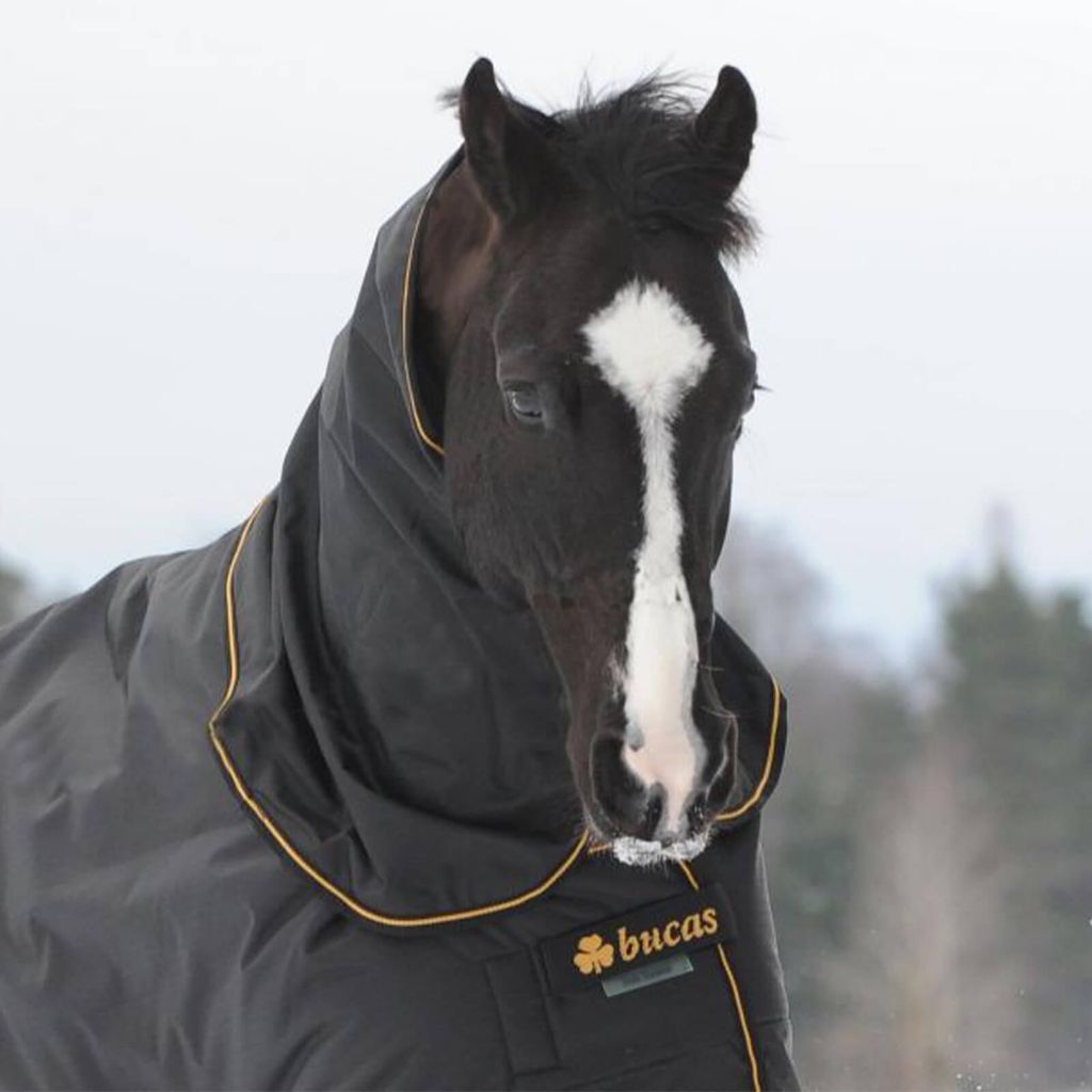Bucas Irish Turnout Combi Neck 0g - nero/oro - Halsteil Immagine del prodotto 