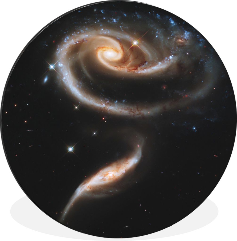 MuchoWow - Wand Bild - Wohnzimmer - Runde Bilder - Alubilder - Kunst für zu Hause - Aluminium - Wanddekoration