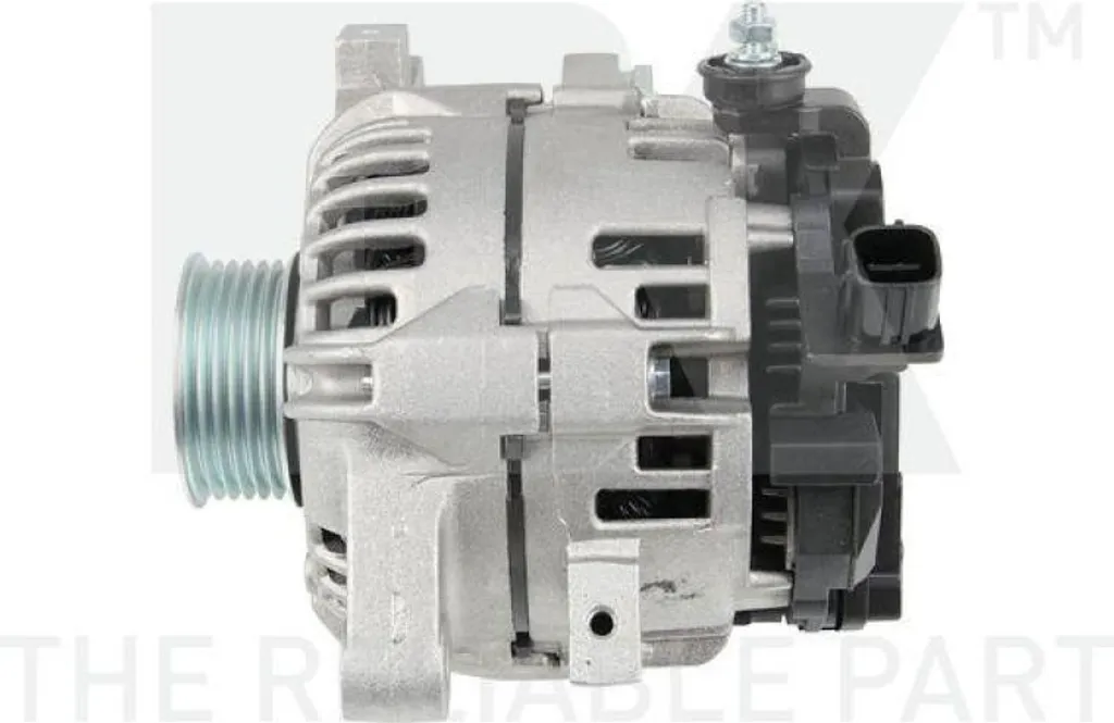 Générateur 4815021 pour Clôture Électrique - Énergie Fiable 12V 230V
