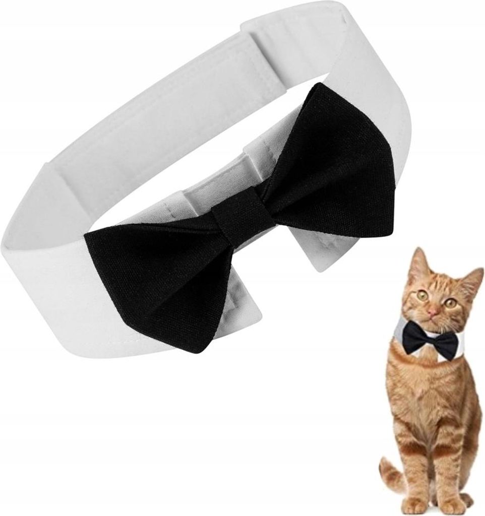 Fliege für Hund und Katze, universeller Klettverschluss, Produktbild 