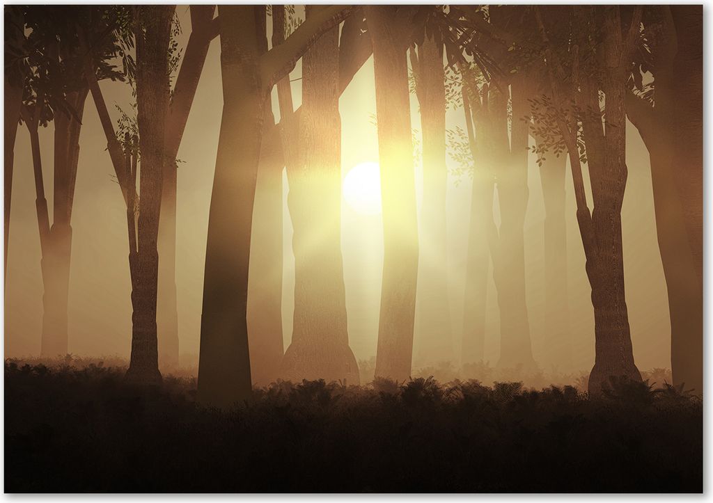 Tulup Leinwandbild - 100x70 cm - Wandkunst - Drucke auf Leinwand - Leinwanddruck - Landschaften - Braun - Nebel im Wald