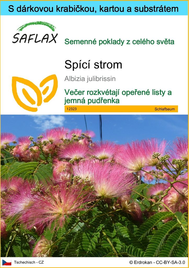 SAFLAX Dárková sada - spící strom - Albizia julibrissin - Obrázek produktu 