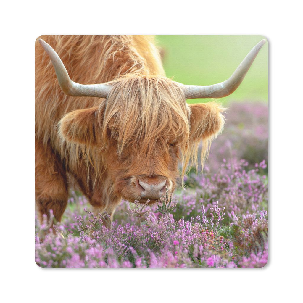 MuchoWow Mauspad Mousepad Schottischer Highlander - Lila - Blumen 30x30 cm - Mousepads - Maus Mat - Pad - Mausunterlage - Gaming